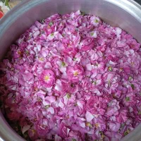 عرقیجات و سرکه سیب صد در صد اصل