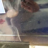 تلویزیون ۴۳اینچ سامسونگ|تلویزیون و پروژکتور|لواسان, |دیوار