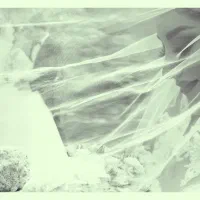 عکاسی جشن عقد،تولد،بارداری،نوزاد،صنعتی در محل شما