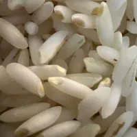 برنج هاشمی درجه ۱