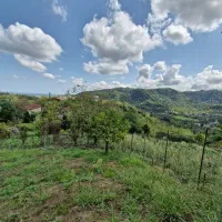 فروش زمین|فروش زمین و ملک کلنگی|لنگرود, |دیوار