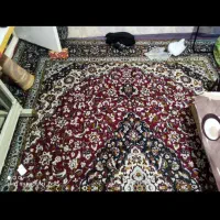 چند عدد فرش ماشینی|فرش|تبریز, |دیوار