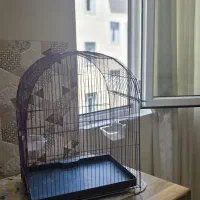 قفس پرنده