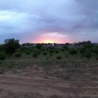 سوله ۵۰۰ متری برای فروش یا اجاره