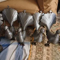 علامت