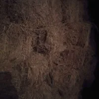 یونجه خشک .خالص