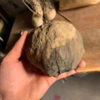 سنگ سپتارین|کلکسیون اشیاء عتیقه|بجنورد, |دیوار