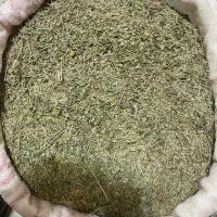 آویشن کوهی|خوردنی و آشامیدنی|مشهد, مقدم|دیوار