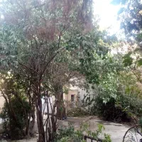 بر-خیابان-اصلی-طالقانی-روبروی-کوچه-زنگنه