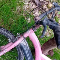 دوچرخه صورتی بچه گانه|دوچرخه، اسکیت، اسکوتر|رشت, خمیران زاهدان|دیوار