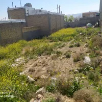 فروش زمین ۲۰۰ متری در برمشور علیا|فروش زمین و ملک کلنگی|شیراز, برمشور علیا|دیوار