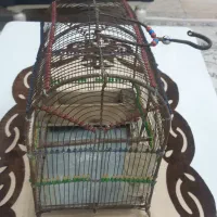 قفس سره
