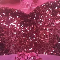 لباس مجلسی کاملا نو یکبار پوشیده شده|لباس|باغستان, |دیوار