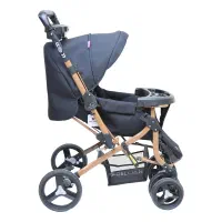 کالسکه به همراه کریر