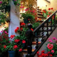 فروش فوری ملک تجاری ومسکونی دراتوبان امام شرقی|فروش خانه و ویلا|اهواز, زیباشهر|دیوار