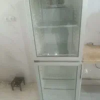 یخچال وچرخ گوشت قصابی یا کبابی