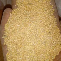 ارزن
