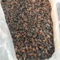 کشمش و میز|خوردنی و آشامیدنی|کرمان, |دیوار