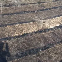 نصب ایزوگام و رفع نم زدگی حتی یک متر باقیمت مناسب|خدمات پیشه و مهارت|طرقبه, |دیوار