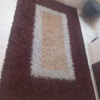 شگی ترک