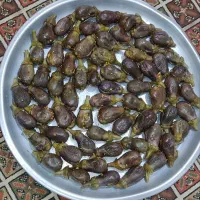 ترشی خونگی