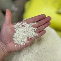 برنج