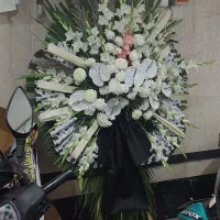 تاج گل|گل و گیاه طبیعی|تهران, باغ خزانه|دیوار