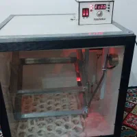 دستگاه جوجه کشی ۸۴ تایی|لوازم جانبی حیوانات|بندر انزلی, لیچارگی حسن رود|دیوار