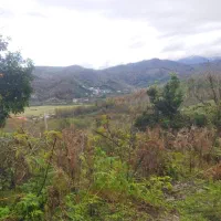 زمین-400متری-طاقور