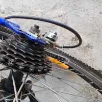 دوچرخه۲۴|دوچرخه، اسکیت، اسکوتر|کاغذکنان, |دیوار