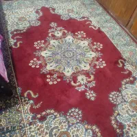 فرش شش متری|فرش|اهواز, زندوکیلی|دیوار