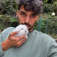 خرگوش لوپ ارمنستانی|موش و خرگوش|همدان, |دیوار