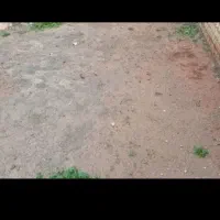 زمین نهضت سوادی آموزی