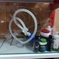 آکواریوم شرکتی