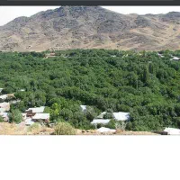 زمین-144-متری-کهک