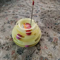 برج بازی گربه