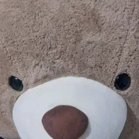 خرس|اسباب‌‌بازی|تهران, تهران‌نو|دیوار