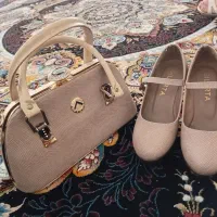 کیف و کفش مجلسی