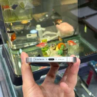 15pro max|موبایل|شیراز, زند|دیوار