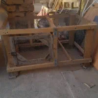 قفس  پرنده . خرگوش