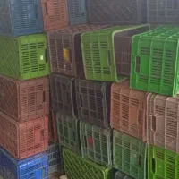 سبد ۲۰کیلوی