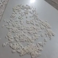 برنج درشت هاشمی الموت