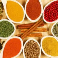 منشی خانم بالای ۳۵تا۴۵