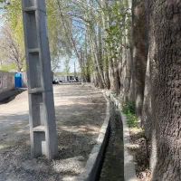 ۶۳۰ متر باغ آباد با بنا قدیمی مجوز ساخت در شهریار|فروش خانه و ویلا|شهریار, شهریار|دیوار