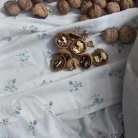 گردو کاغذی|خوردنی و آشامیدنی|مشهد, موسوی قوچانی|دیوار