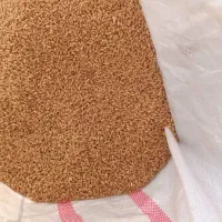 گندم مهرگان|عمده‌فروشی|بندر ماهشهر, |دیوار