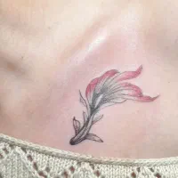 تاتو بدن و آموزش تاتو بدن و آموزش ناخن|خدمات آرایشگری و زیبایی|اردکان, |دیوار