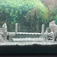 آکواریوم با میز و مرجان سنگ و کشتی بزرگ همه فقط|ماهی|آذرشهر, |دیوار