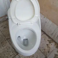 دستشویی فرنگی