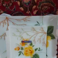 ظروف پذیرایی